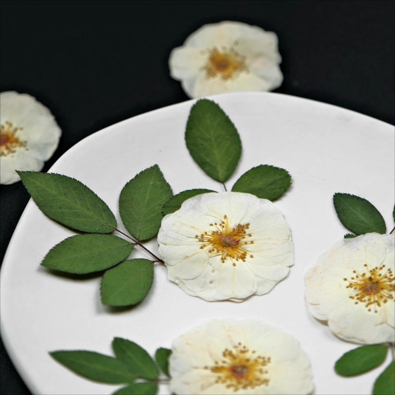 6 szt., 9 szt., Naturalne Biał – Resin Craft Ideas recenzja i cena